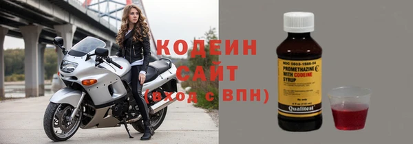 индика Березники