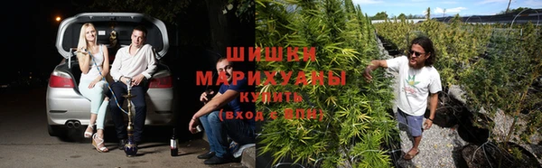 эйфоретик Долгопрудный
