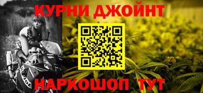 гашик Дубна