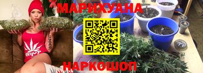 гашик Дубна