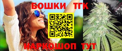 гашик Дубна