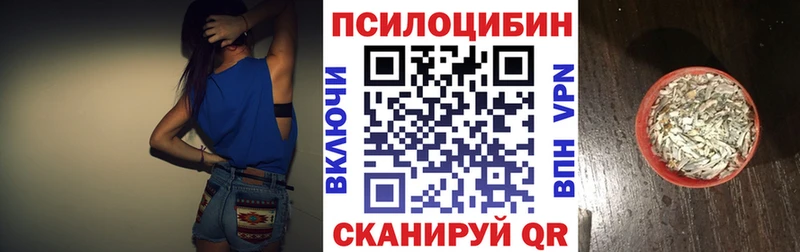 Галлюциногенные грибы Psilocybe  как найти   Нижний Тагил 