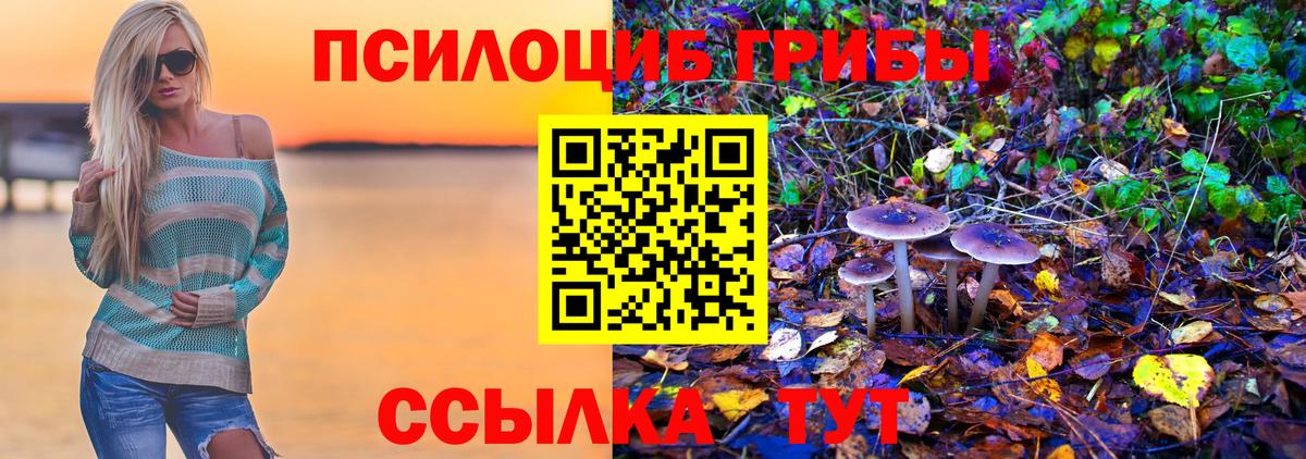 Галлюциногенные грибы Cubensis Нижний Тагил